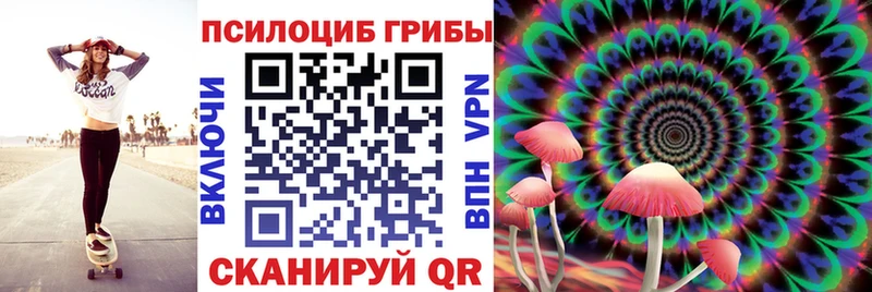 Псилоцибиновые грибы мухоморы  Купить где  Тайга 